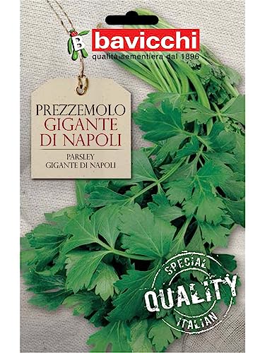 Bavicchi VPZ02 Busta semi Prezzemolo gigante di Napoli - Jardin & Extérieur Amazon Italie à 2.54€