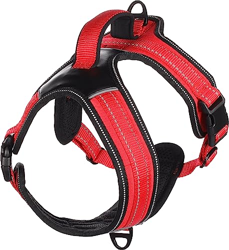 Flamingo Pettorina Toga Rosso XS 47-57CM - Nouvelle promo Amazon à 10.19€