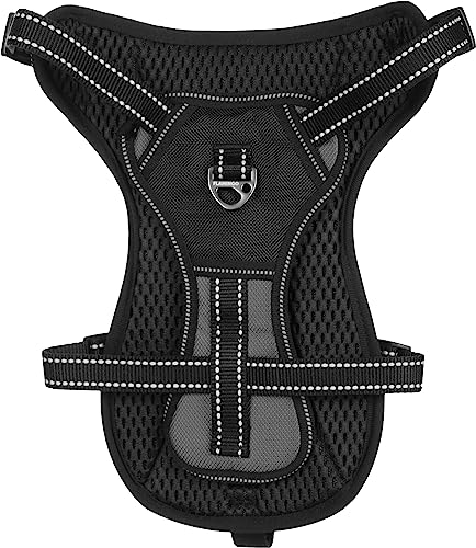 Flamingo ARNÉS Kelso Gris M 34-50CM 20MM - Animalerie Amazon Espagne à 13.56€