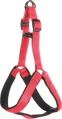 Flamingo ARNES Step&GO Abbi Rojo S 36-50CM 15MM - Amazon Espagne à 5.11€