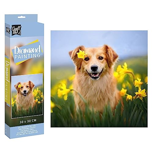 Grafix Diamond Painting Hund auf Wiese 30x30 cm - Maison & Cuisine Amazon Allemagne à 3.61€