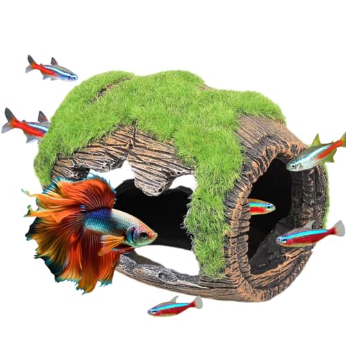 TANOMA Betta - Accesorios decorativos para peceras... - Maison & Cuisine Amazon Espagne à 14.90€