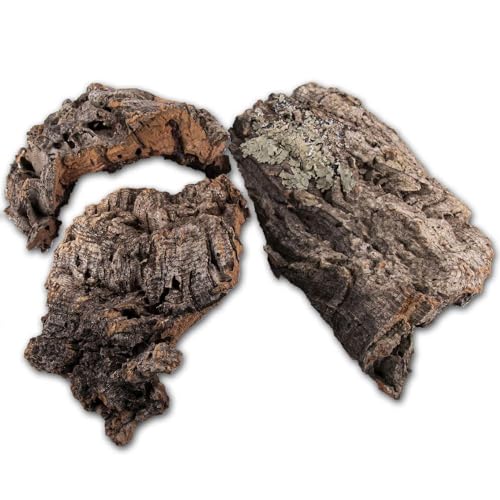 Reptiles Planet - Reptiliège - Assortiment de Liège pour... - Maison & Cuisine Amazon France à 19.58€