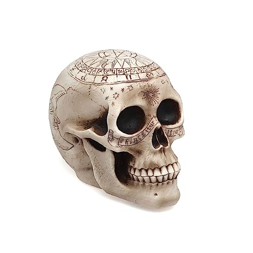 BigBuy Party Decorazione, Standard - Amazon Italie à 8.89€