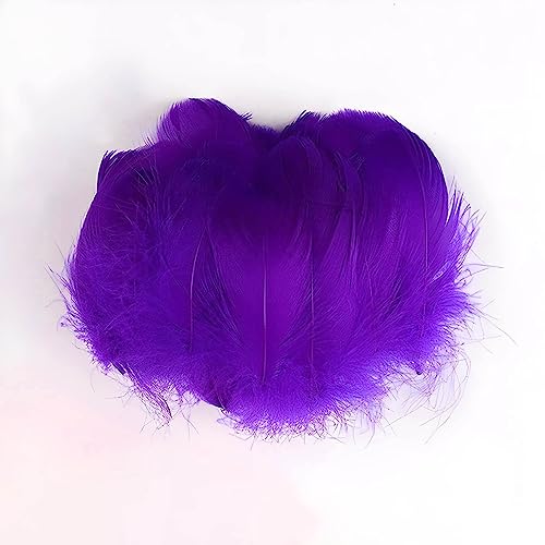 Piume d'oca viola, 7 – 12 cm, 100 pezzi (5 g), piume di... - Loisirs Créatifs en promo à 2.49€
