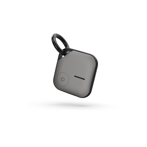 Echo Smart Tag grau, Abzeichen sichtbar auf Einer Karte... - Tech & Electronics Amazon Germany à 11.83€