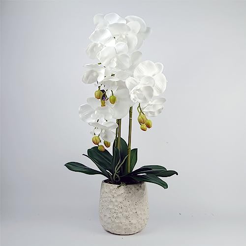 Leaf Design UK Orchidée Artificielle réaliste en Pot - Maison & Cuisine Amazon France à 43.32€