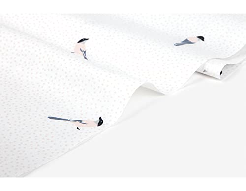 Dailylike Tessuti cotone, Uccello, 14m - Loisirs Créatifs Amazon Italie à 45.15€