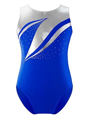 Alvivi Maillot de Gimnasia sin Mangas Body Brillante de... - Animalerie Amazon Espagne à 2.09€