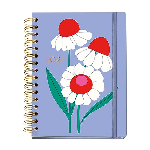 Miquelrius - Agenda Annuel 2024 Semana Vista, Grand Format... - Animalerie Amazon France à 7.21€