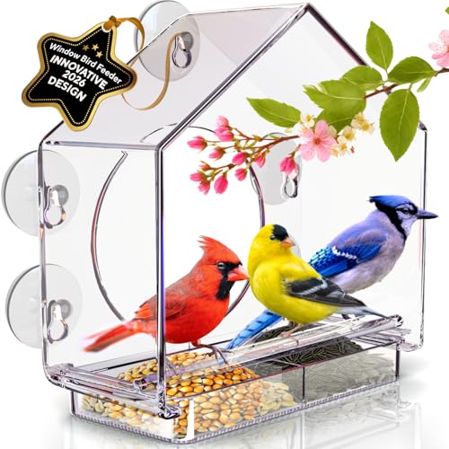 Comedero para pájaros de Ventana Premium para Exteriores... - Jardin & Extérieur Amazon Espagne à 31.17€
