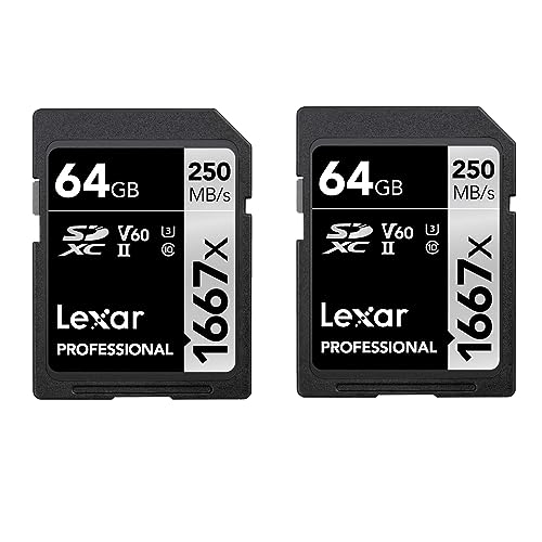 Lexar Professional 1667x Lot de 2 cartes mémoire SD SDXC... - Auto & Moto en promo à 150.93€