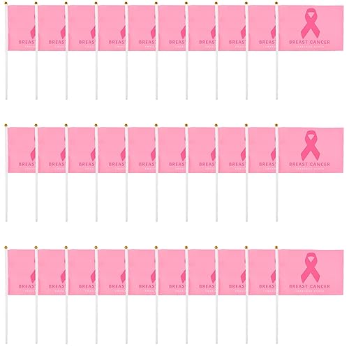 WANDIC Pink Ribbon Theme Flags Set, 30 Pieces Breast Cancer... - Maison & Cuisine Amazon Royaume-Uni à 2.29€