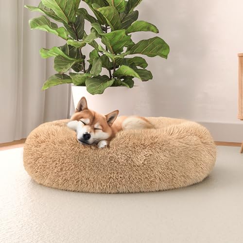 Italian Bed Linen Cama para Mascotas DREAMS... - Maison & Cuisine en promo à 13.45€