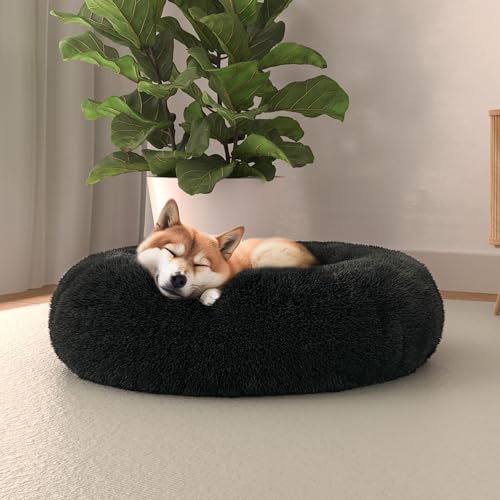 Italian Bed Linen Panier pour Animaux Dreams, Pétrole... - Animalerie Amazon France à 17.95€