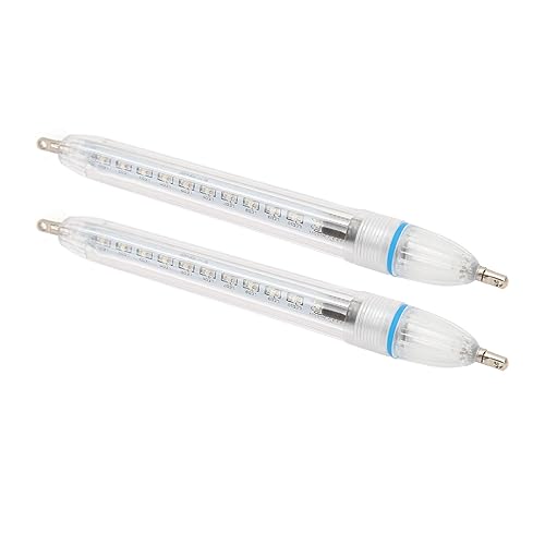 WINH Atractiva Luz de Pesca LED, PP 2pcs Luz de Pesca LED... - High-Tech & Électronique Amazon Espagne à 1.58€