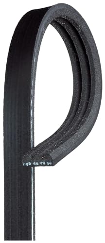 GATES 3PK592SF Correa trapecial poli V negro - Amazon Spain à 5.24€