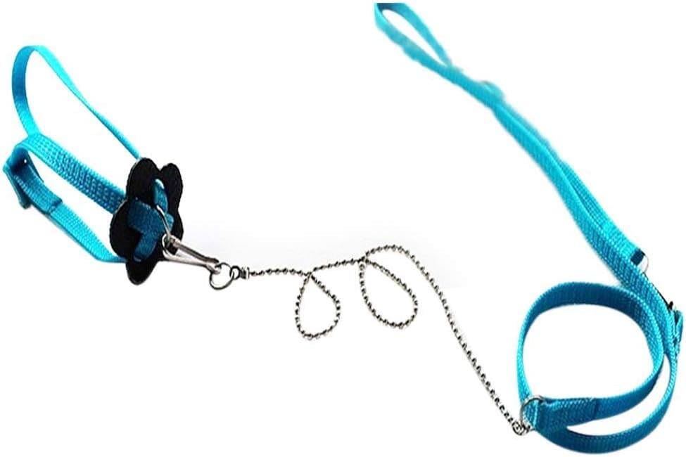 Parrot Arnés ajustable para pájaros y correa voladora al... - Maison & Cuisine Amazon Espagne à 1.41€