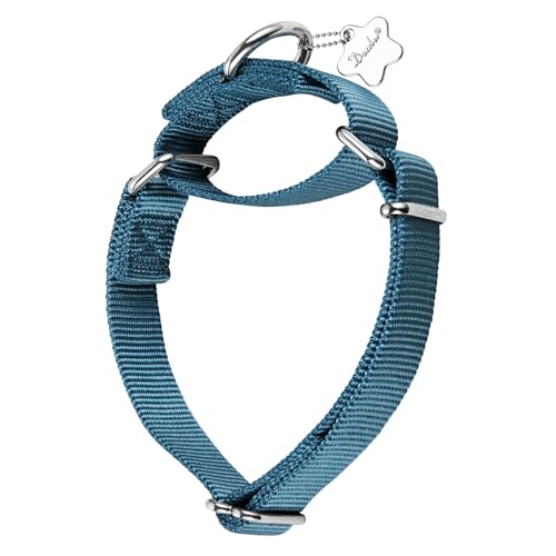 Dazzber Martingale Dog Collars - Heavy Duty Nylon Anti... - Animalerie Amazon Royaume-Uni à 4.41€