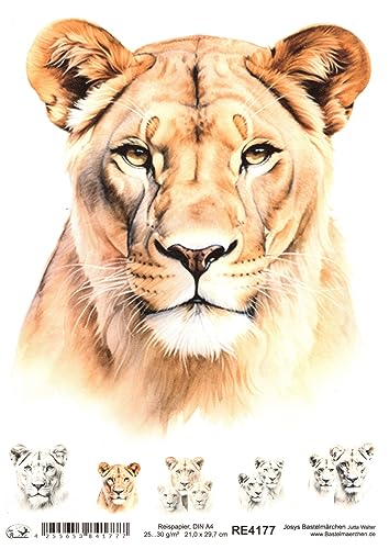 Josys Bastelmärchen Reispapier A4 Strohseide Decoupage... - Loisirs Créatifs Amazon Allemagne à 1.99€