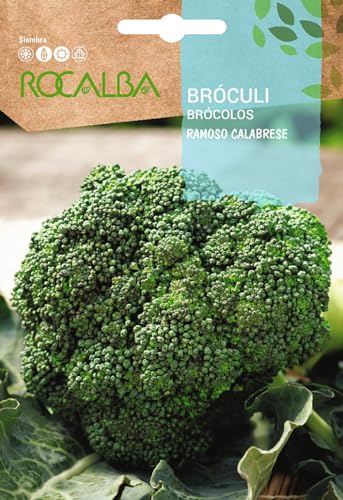 semillas Bróculi (Brocoli) Ramoso Calabrese - High-Tech & Électronique Amazon Espagne à 1.95€