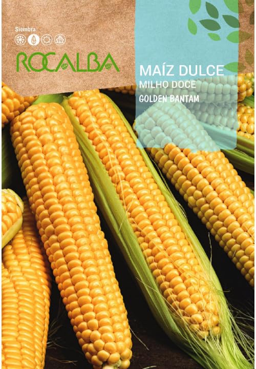 Semillas Maiz Dulce - Jardin & Extérieur Amazon Espagne à 1.95€