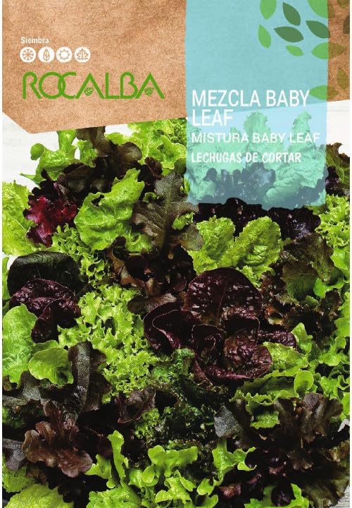 Lechugas de cortar, Mezcla Baby Leaf Rocalba - Épicerie Amazon Espagne à 2.95€