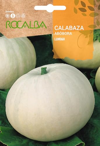 Sobre Semilla Calabaza Lumina (Cucurbita Pepo) - Jardin & Extérieur Amazon Espagne à 1.75€