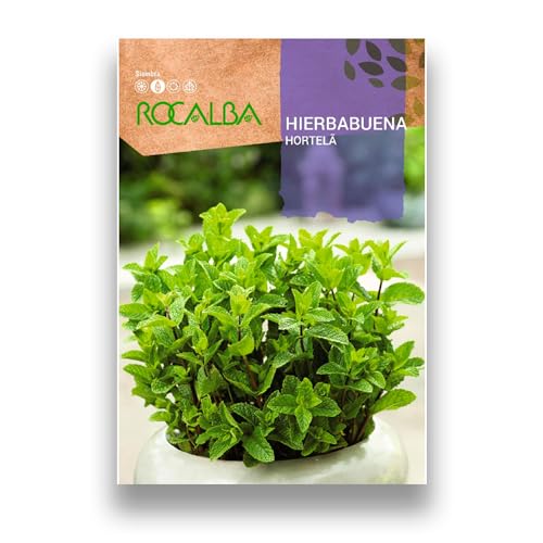 Semilla Hierbabuena - Jardin & Extérieur Amazon Espagne à 1.95€