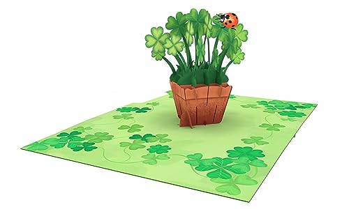 Biglietto pop-up 3D con trifoglio irlandese – giorno di San... - Loisirs Créatifs Amazon Italie à 2.29€