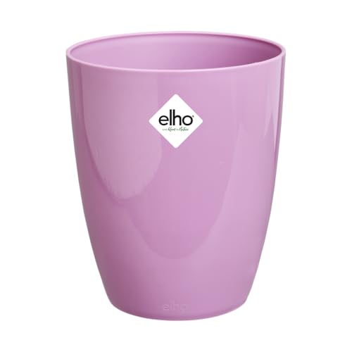 Elho Brussels Diamond Orchidée Haut 12.5 - Pot De Fleurs... - Jardin & Extérieur Amazon France à 3.59€