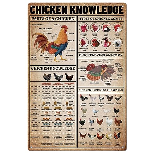 SUPERDANT Chicken Knowledges Metal Signs Types of Chicken... - Maison & Cuisine Amazon Royaume-Uni à 1.00€