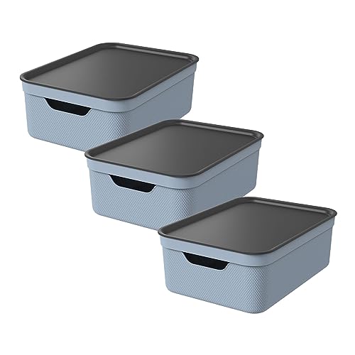 Jive Dekobox Set di 3 contenitori da 10l con coperchio... - Amazon Italy à 30.99€