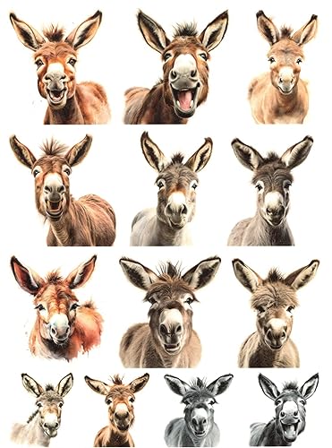 Josys Bastelmärchen Reispapier A4 Strohseide Decoupage... - Loisirs Créatifs Amazon Allemagne à 1.99€