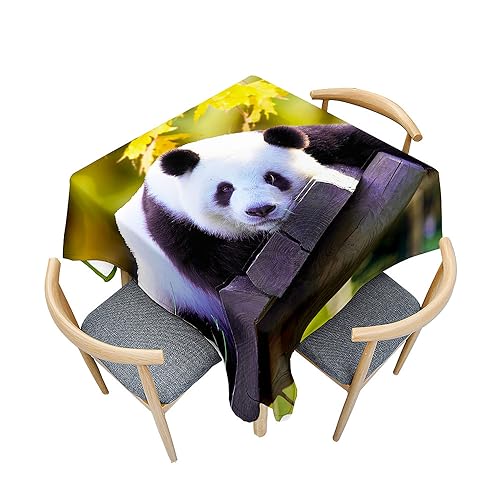 Mateju Platz Tischdecke, Abwaschbar Gartentischdecke... - Maison & Cuisine Amazon Allemagne à 1.49€