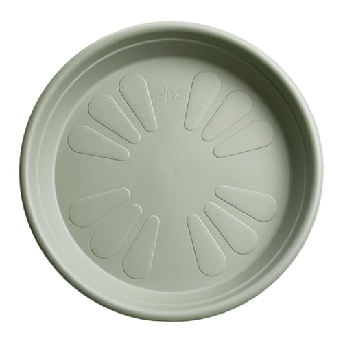 Elho Universal Saucer Round 30 - Sottovaso per Interno... - Erreur de prix -77% à 3.39€