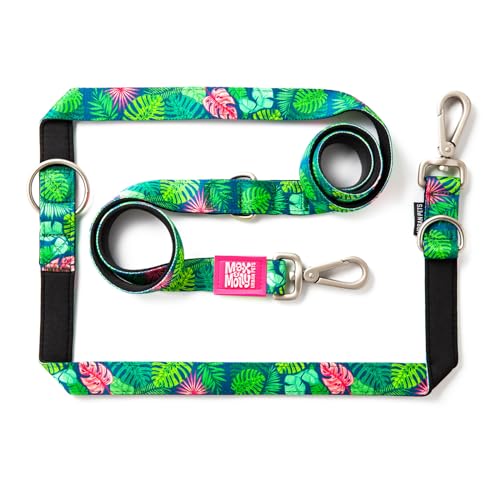 Max & Molly Multifunctional Dog Lead 2 m with 2 Carabiners... - Maison & Cuisine Amazon Royaume-Uni à 10.28€