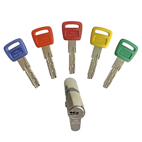 Zylinder Bricard Olympia 30+30 Gefahrlos 5 Schlüssel - Auto & Motorcycle Amazon Germany à 29.61€