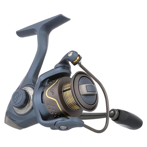 Pflueger President Mulinello da pesca spinning, misura 25... - Sports & Fitness Amazon Italie à 42.62€