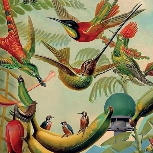 Radar Keroxen Vol.4 [Vinilo] - Nouvelle promo Amazon à 9.35€