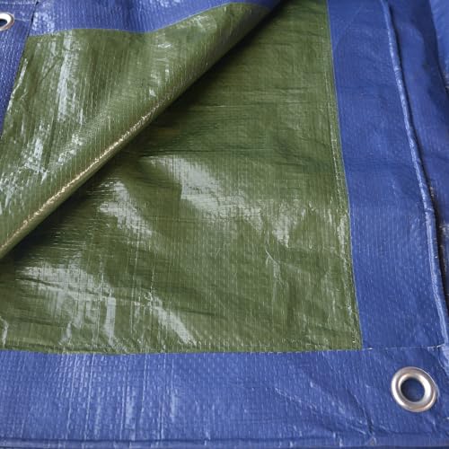 TENAX COVER ALL 4,00x6 m Telo Occhiellato Verde-Blu 90... - Auto & Moto en promo à 14.49€