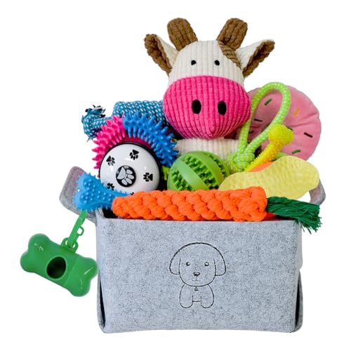 MRSOHRET Lot de 20 Jouets à mâcher pour Chiot avec Jouets... - Animalerie Amazon France à 18.37€