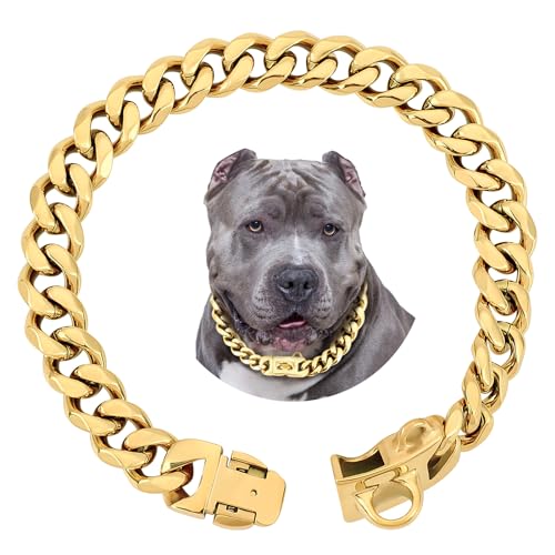 BAOBOTE Collar de perro de acero inoxidable dorado de 15 mm... - Animalerie Amazon Espagne à 35.26€