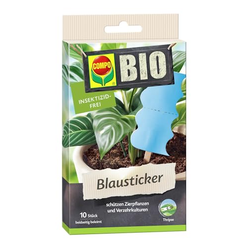 COMPO Autocollants Bleus Bio - Maison & Cuisine Amazon France à 4.94€