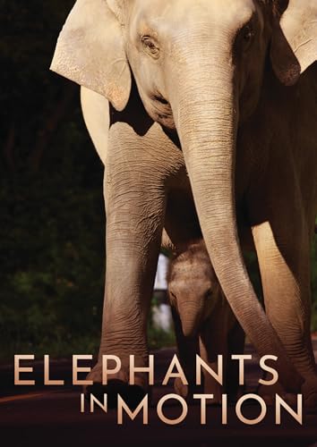 Elephants In Motion - Livres & eBooks Amazon Allemagne à 10.95€