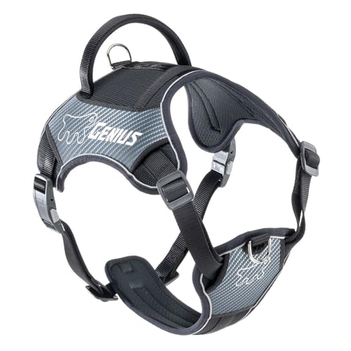Ferplast Arnes Perro Grande Genius Extra Large... - Sports & Fitness Amazon Spain à 34.18€
