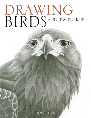 Drawing Birds - Deal du jour à 2.99€