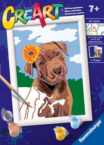Ravensburger CreArt: Porcellini d'Ina – Dipingere con i... - Jouets & Jeux Amazon Italie à 6.50€