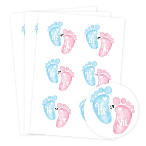He or She Gender Reveal Round Stickers 88mm - Sheet of 6 - Jouets & Jeux Amazon Royaume-Uni à 1.59€
