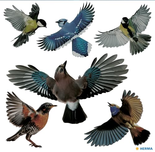 HERMA Warnvögel Vogel Aufkleber Set für Fensterscheiben... - Maison & Cuisine en promo à 191.19€